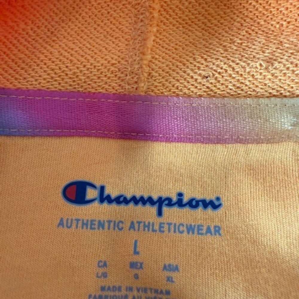 Champion Hoodie Size Large NWT Cozy Athleisure Essential - Picture 3 of 10